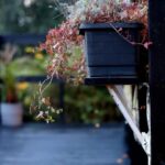 Come organizzare un piccolo orto urbano sul balcone di casa